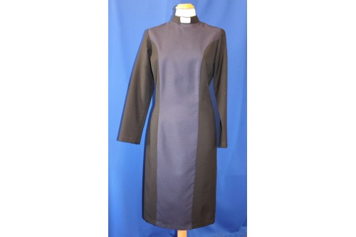 Ladies Fitted Dress